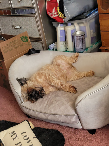 Pet Store «Affordable Pet Center», reviews and photos, 2022 Main St, Northampton, PA 18067, USA