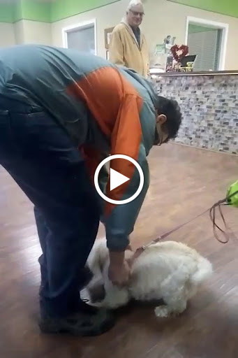 Dog Day Care Center «The Dog House, LLC», reviews and photos, 1999 S Yost Ave, Bloomington, IN 47403, USA