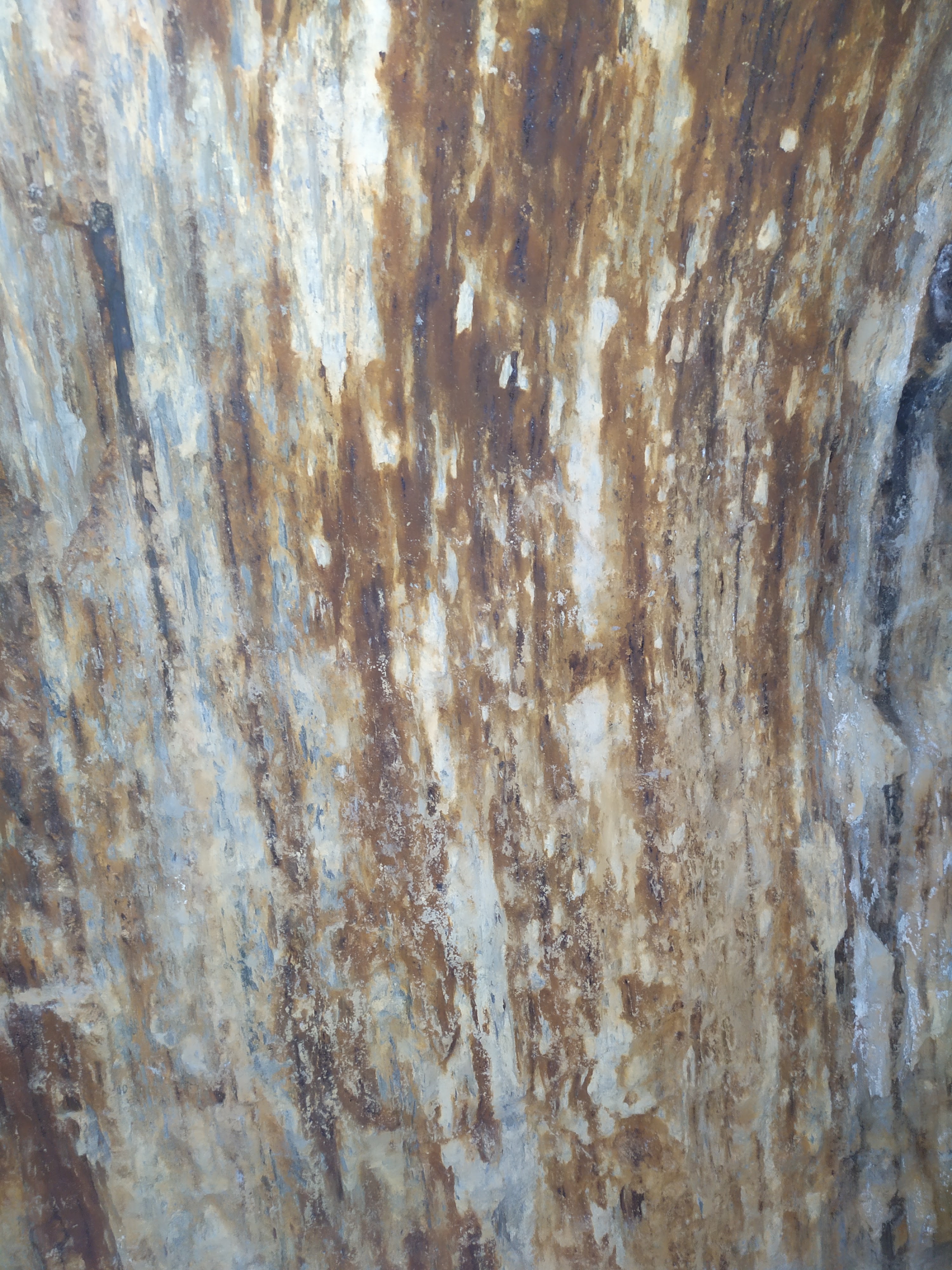 Photo n° 21 de l'avis de Céline.r fait le 20/02/2020 à 17:52