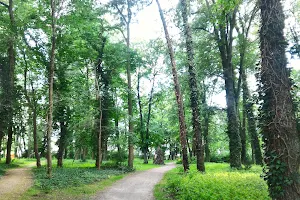 Viktoria Park image