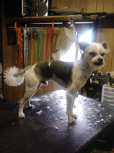 Breezy's Grooming Salon