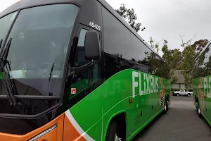 Flixbus image