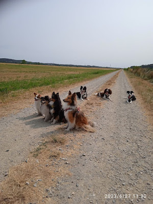 La Belle Vilaine Gites. à Nivillac