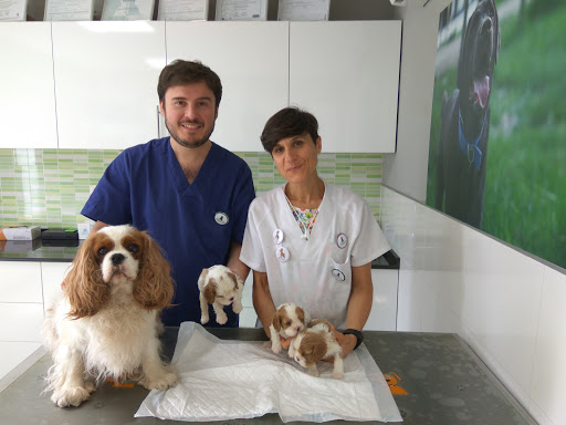 Centro Veterinario Lidercan en Monachil