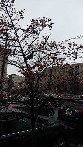 Grocery Store «ACME Markets», reviews and photos, 614 Clinton St, Hoboken, NJ 07030, USA