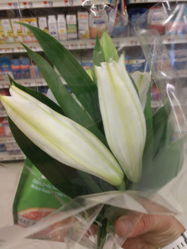 Grocery Store «Stop & Shop», reviews and photos, 225 Upper Main St, Edgartown, MA 02539, USA