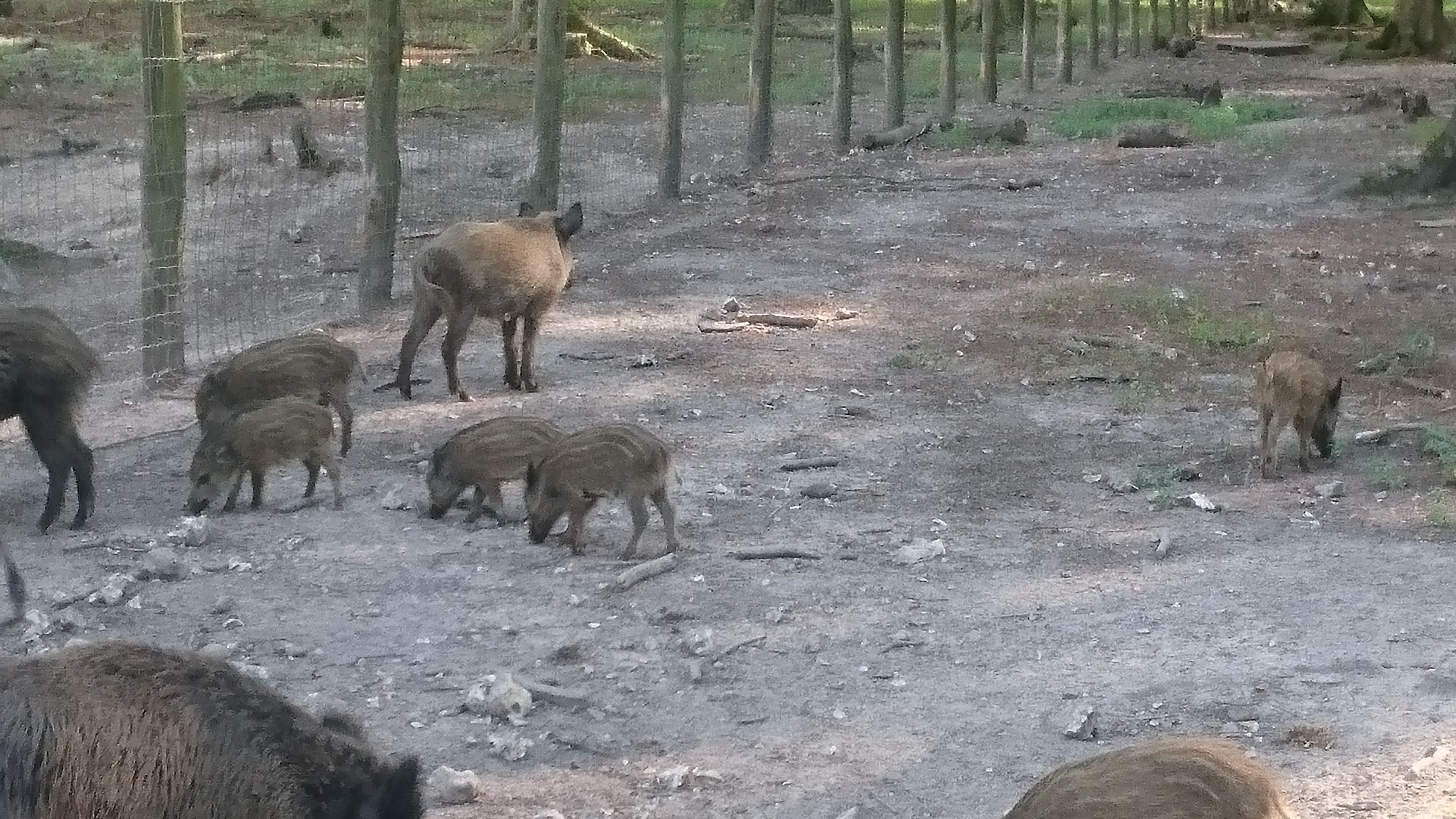 Photo n° 4 de l'avis de Nicolas.u fait le 26/07/2018 à 22:58
