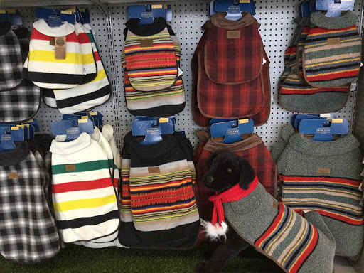 Pet Store «The Pet Place», reviews and photos, 240 Shadowline Dr, Boone, NC 28607, USA