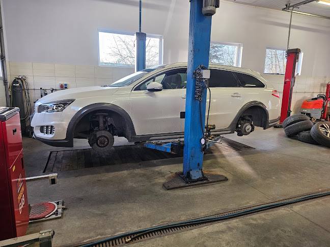 PALGUM Adrian Pawlak - Konin