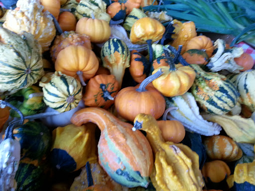 Produce Market «The Bigsby Market», reviews and photos, 1418 Dryden Rd, Freeville, NY 13068, USA