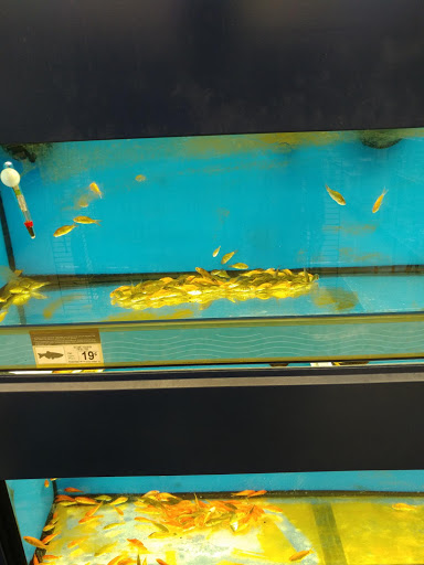 Pet Supply Store «Petco Animal Supplies», reviews and photos, 175 Grandview Blvd #600, Madison, MS 39110, USA