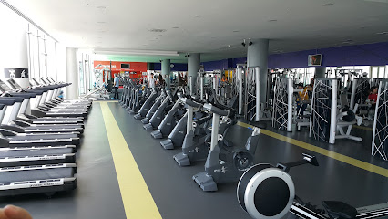 The GYM A+ Fitness & Spa