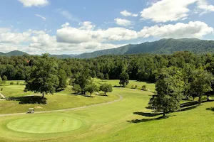 Wild Laurel Golf Course image