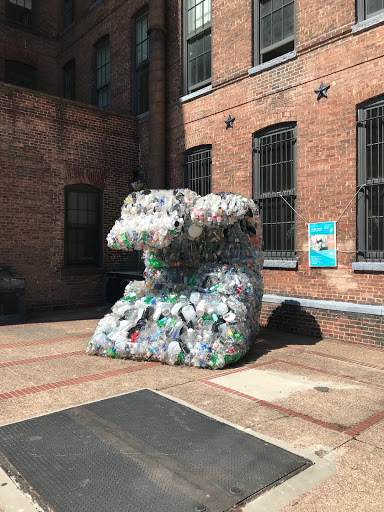 Private University «Pratt Institute», reviews and photos