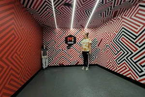 Museum of Illusions image
