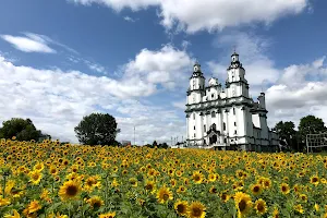 Łąka kwietna image