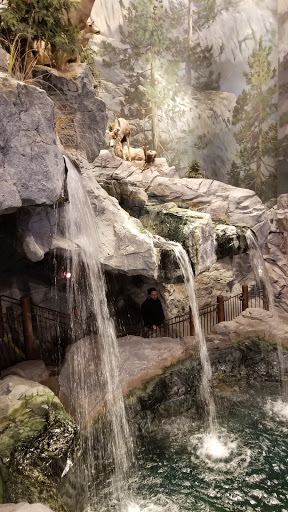 Sporting Goods Store «Bass Pro Shops», reviews and photos, 1356 Bass Pro Dr, Manteca, CA 95337, USA