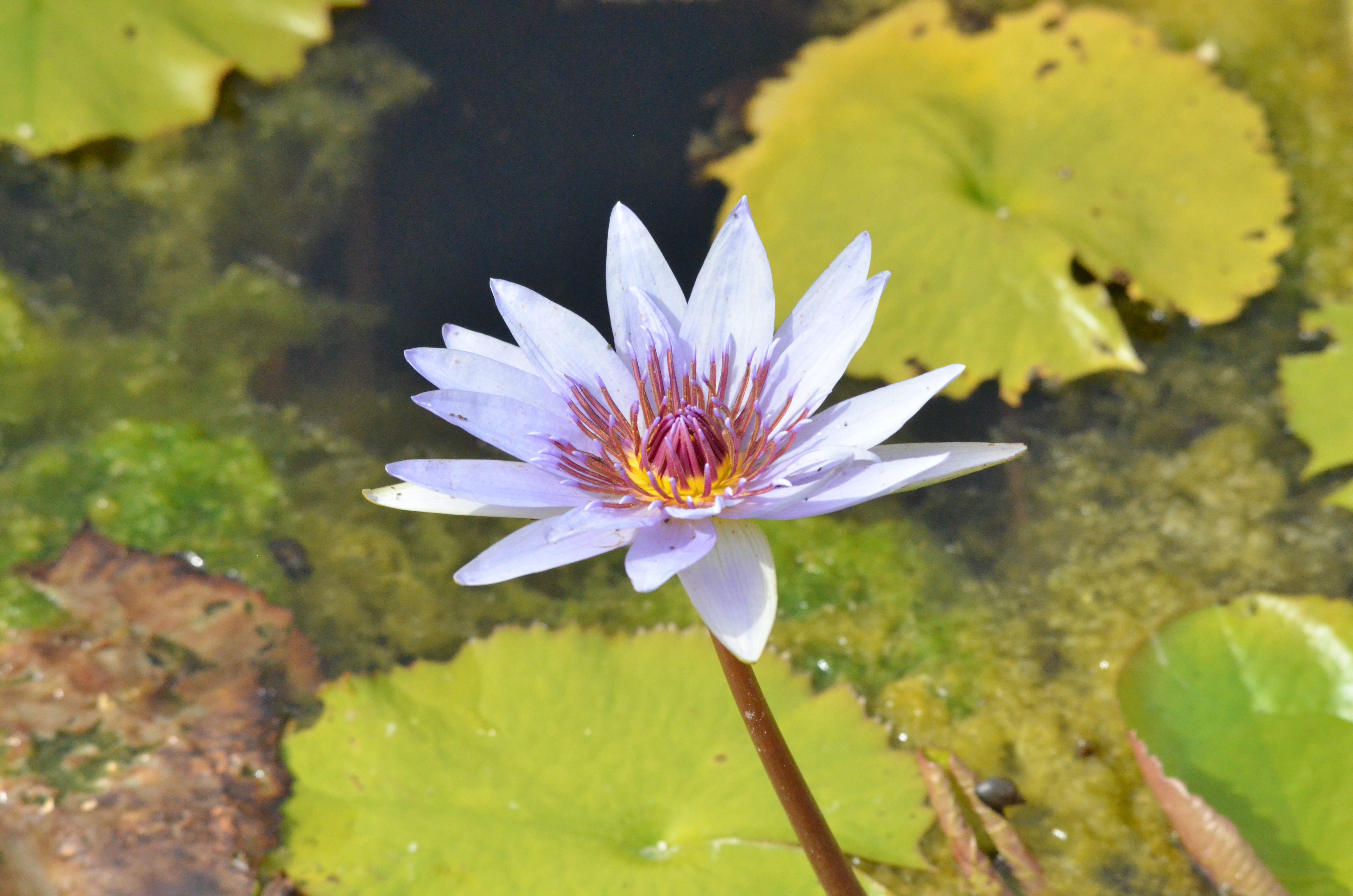 Photo n° 12 de l'avis de Nick.e fait le 27/09/2023 à 16:09