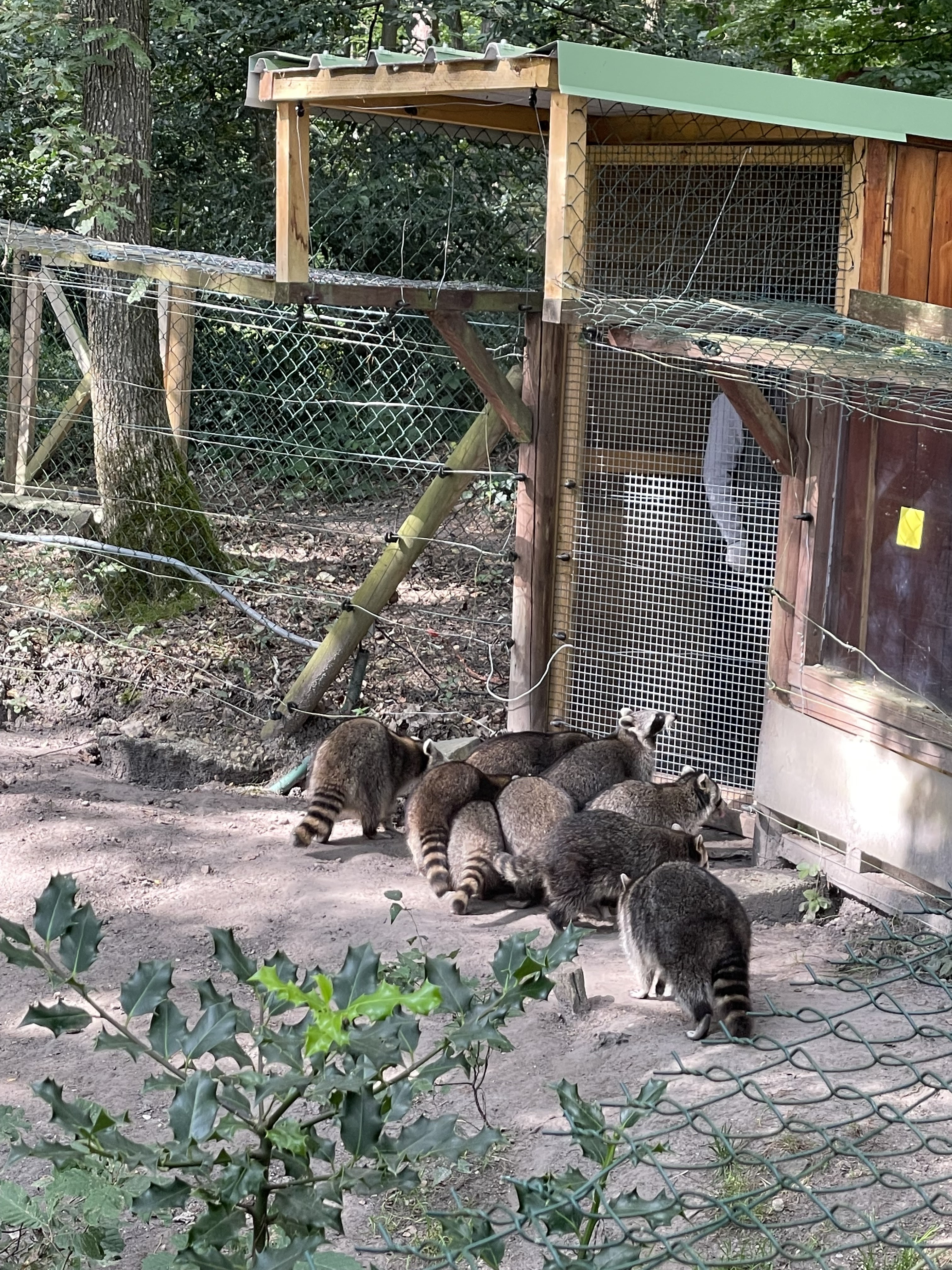 Photo n° 29 de l'avis de joel.u fait le 22/09/2021 à 14:33