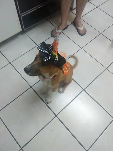 Department Store «Walmart Supercenter», reviews and photos, 5801 Main St, Zachary, LA 70791, USA