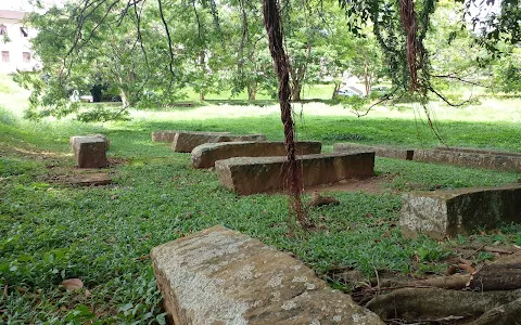 Polonnaruwa Grassy Walking Area image
