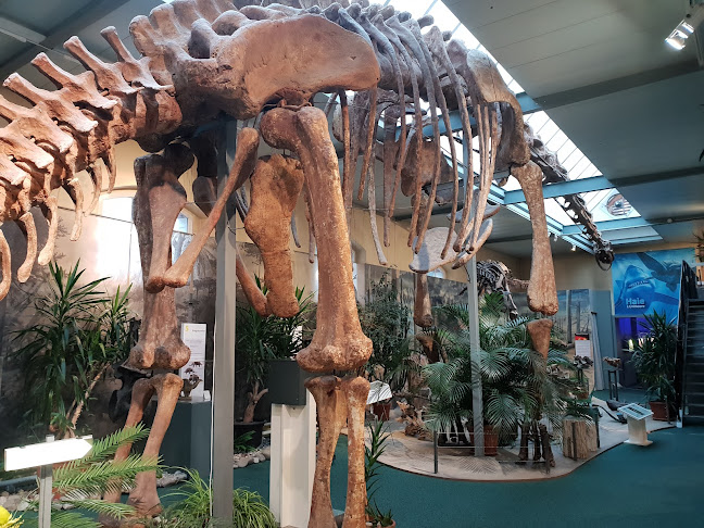Rezensionen über Stella's Dino Land in Uster - Museum