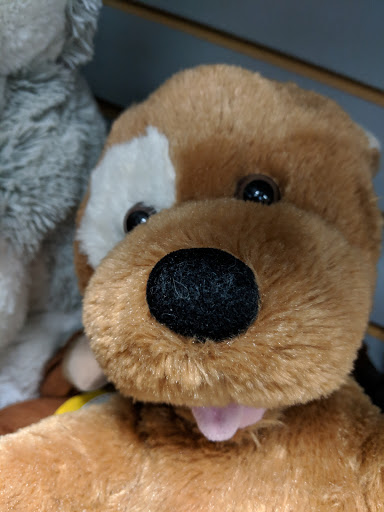 Thrift Store «Tried & True Thrift Store», reviews and photos, 35004 W Michigan Ave, Wayne, MI 48184, USA