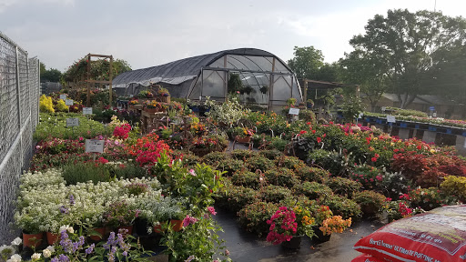 Health Food Store «Cox Farms Market - Duncanville», reviews and photos, 1026 S Main St, Duncanville, TX 75137, USA