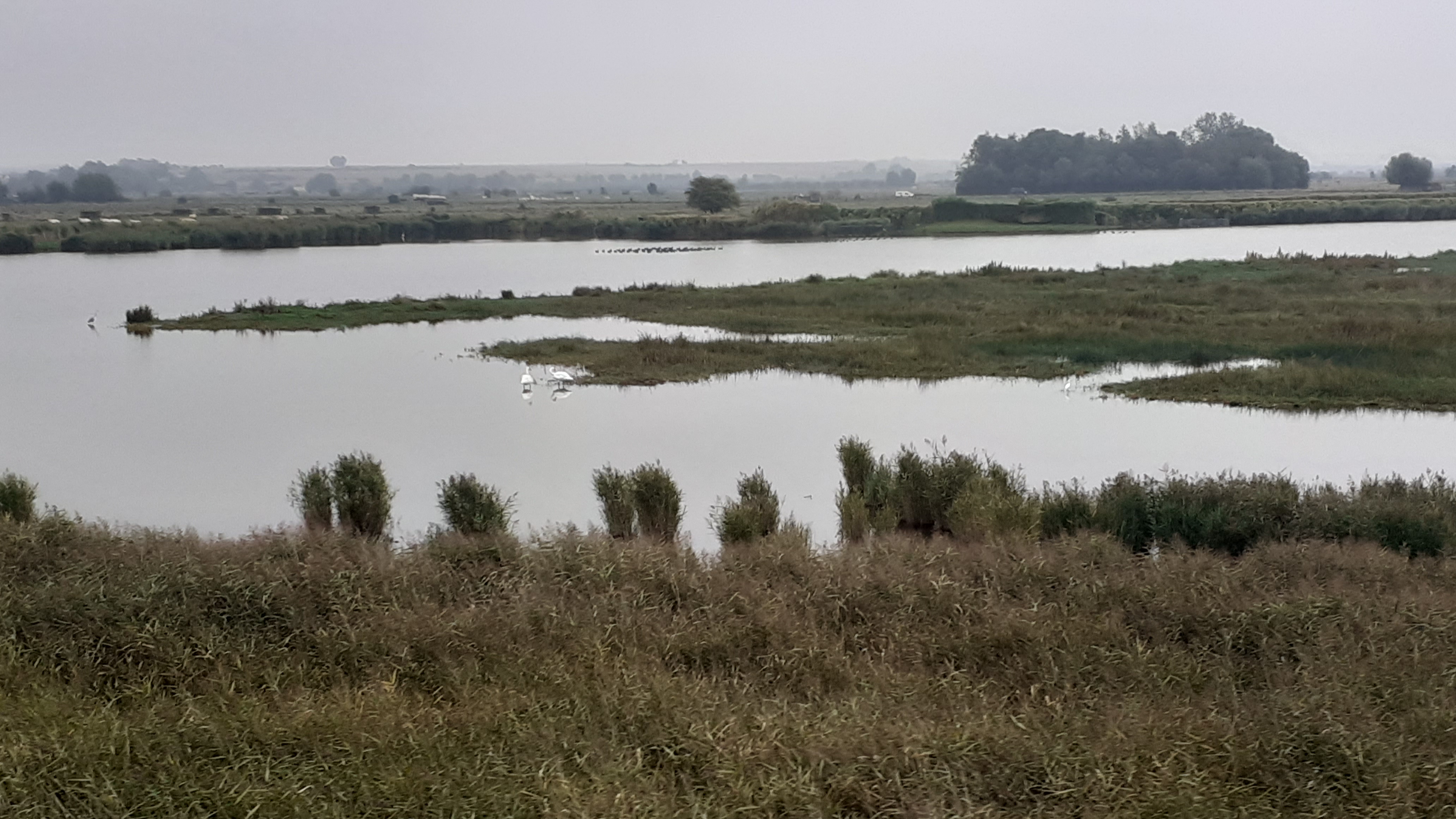 Photo n° 4 de l'avis de Hélène.e fait le 15/09/2022 à 07:43