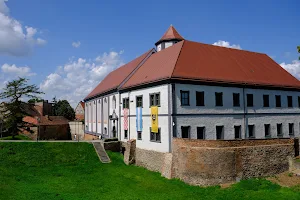 Culture Center "Zamek" in Kożuchów image