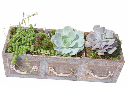 Florist «Avalon Flowers», reviews and photos, 1257 N Avalon Blvd, Wilmington, CA 90744, USA