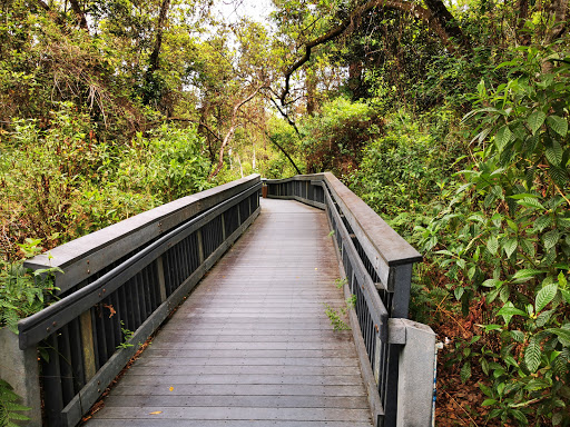 Nature Preserve «Woodmont Natural Area», reviews and photos, 7250 NW 80th Pl, Pompano Beach, FL 33321, USA