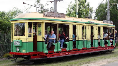 Pest Control Sutherland Shire