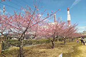 Nakosokaryoku Park image