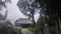 勝福寺のエノキ