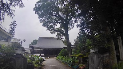 勝福寺のエノキ