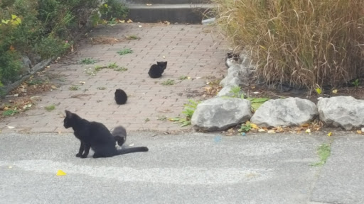 Country Club «Hawthorne Valley Country Club», reviews and photos, 27840 Aurora Rd, Solon, OH 44139, USA