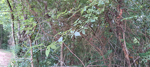 Park «Riverside Park», reviews and photos, 575 Riverside Rd, Roswell, GA 30075, USA