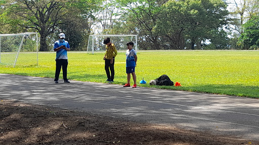 Preparer of children's competitive examinations Managua