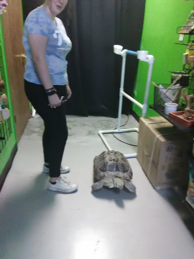 Pet Store «Parker Exotic Pets», reviews and photos, 17880 Cottonwood Dr, Parker, CO 80134, USA