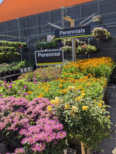 Home Improvement Store «The Home Depot», reviews and photos, 2250 Easton Rd, Willow Grove, PA 19090, USA