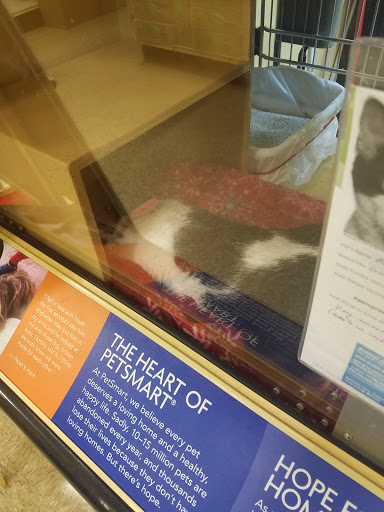 Pet Supply Store «PetSmart», reviews and photos, 7850 W Commercial Blvd, Lauderhill, FL 33351, USA