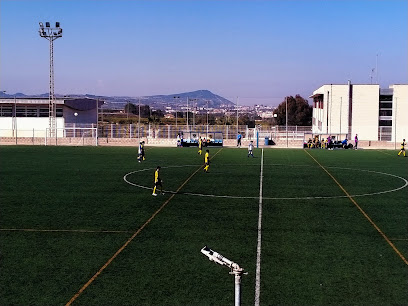 Polideportivo Municipal de Benejúzar - 03390 Benejúzar, Alicante, Spain