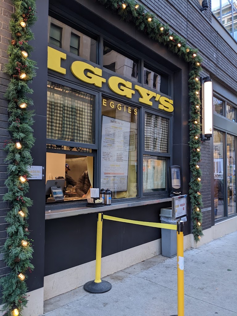Iggy's Eggies 48226
