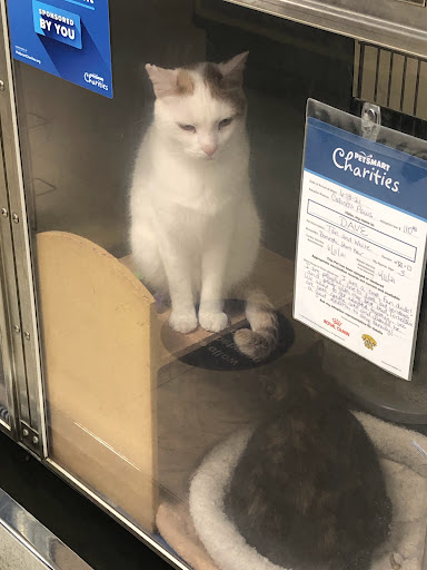 Pet Supply Store «PetSmart», reviews and photos, 8111 Brier Creek Pkwy, Raleigh, NC 27617, USA