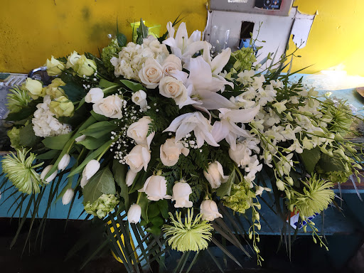 Florist «Flowers Vs Flowers», reviews and photos, 414 Main St, Paterson, NJ 07501, USA