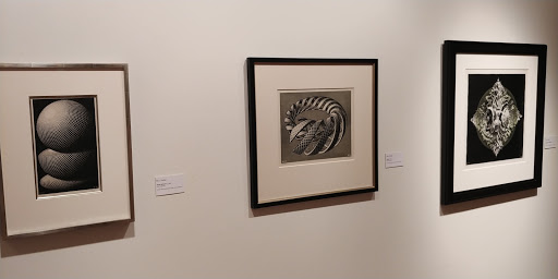 Art Museum «Museum of Art-DeLand», reviews and photos, 600 N Woodland Blvd, DeLand, FL 32720, USA