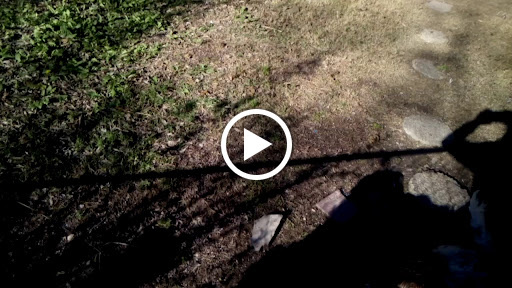 Park «Gateway Park», reviews and photos, 2500 N Jim Miller Rd, Dallas, TX 75227, USA