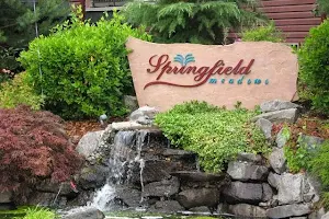 Springfield Meadows Apartments image