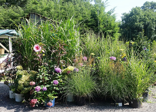 Garden Center «Town & Country Nurseries», reviews and photos, 1036 Saybrook Rd, Haddam, CT 06438, USA